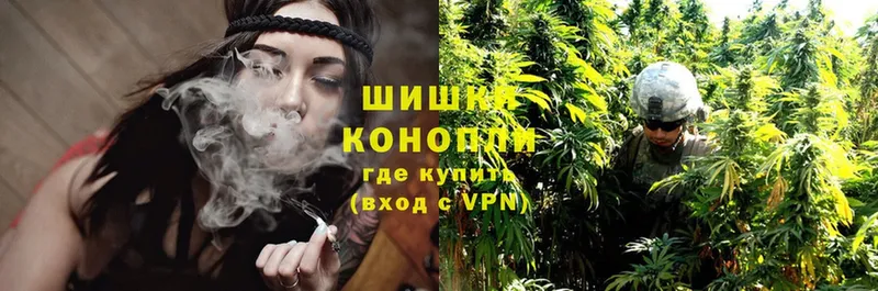 Конопля THC 21%  Александровск-Сахалинский 